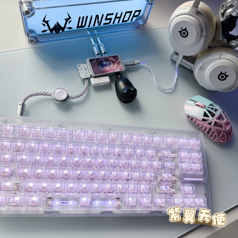 WINSHOP Esports HUB Dual-In 4- - Desk Setup Hub บทวิจารณ์และราคา